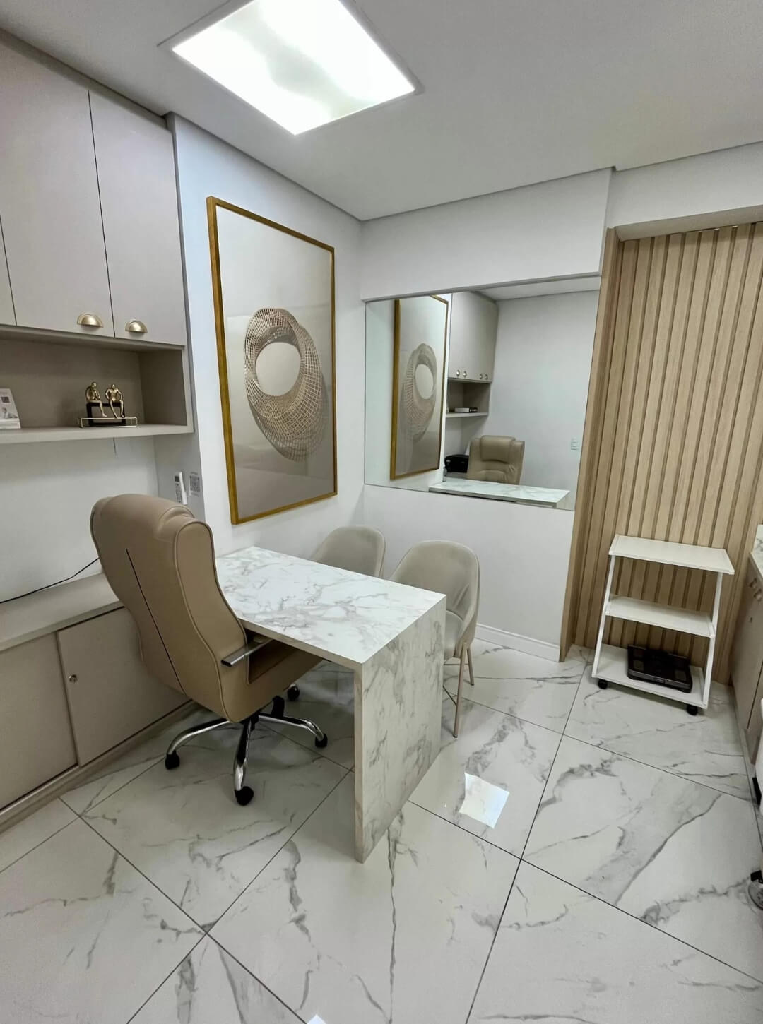 consultoria-dra-luiza-maia6